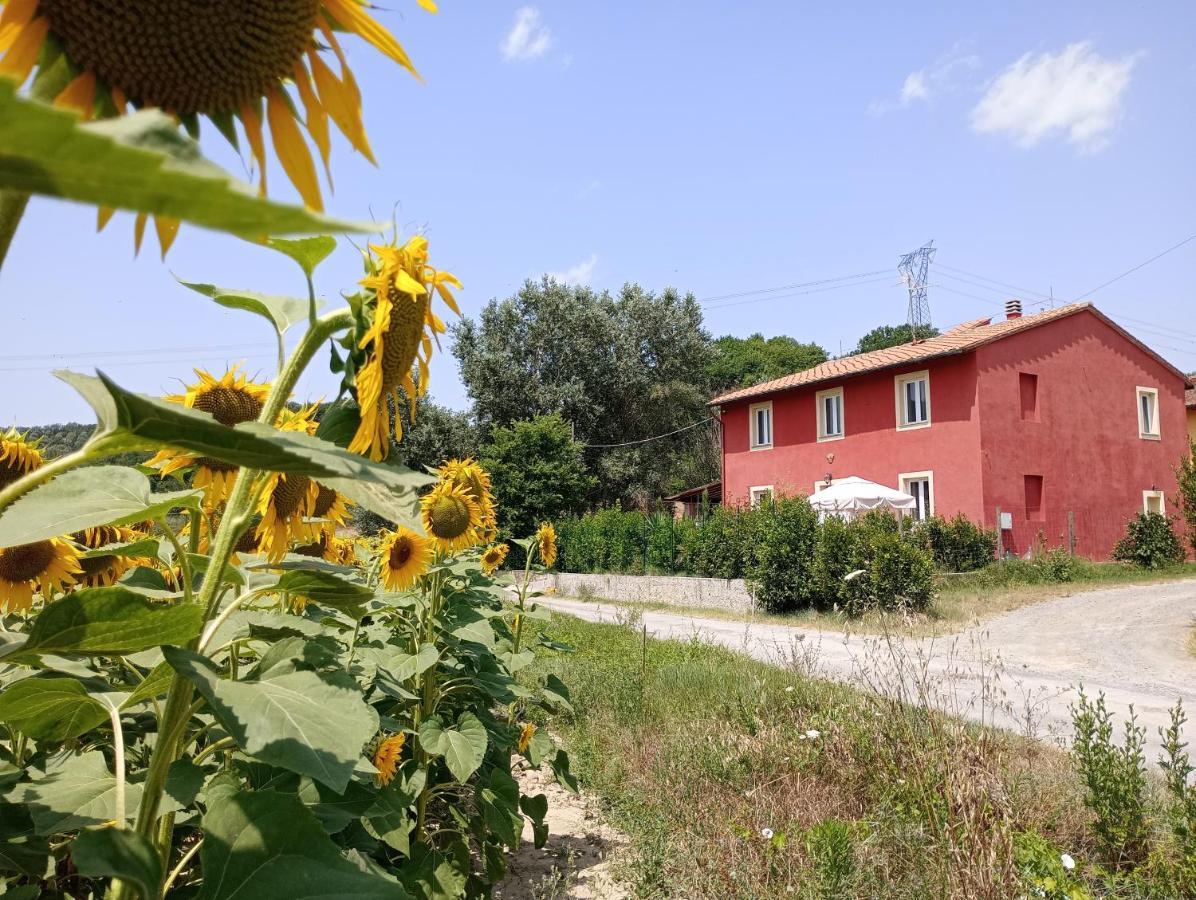 La Casa Rossa Bed & Breakfast Coiano Bagian luar foto
